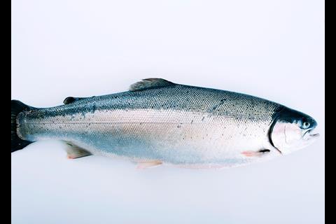 Norwegian salmon was exported to a total of 98 markets in 2011